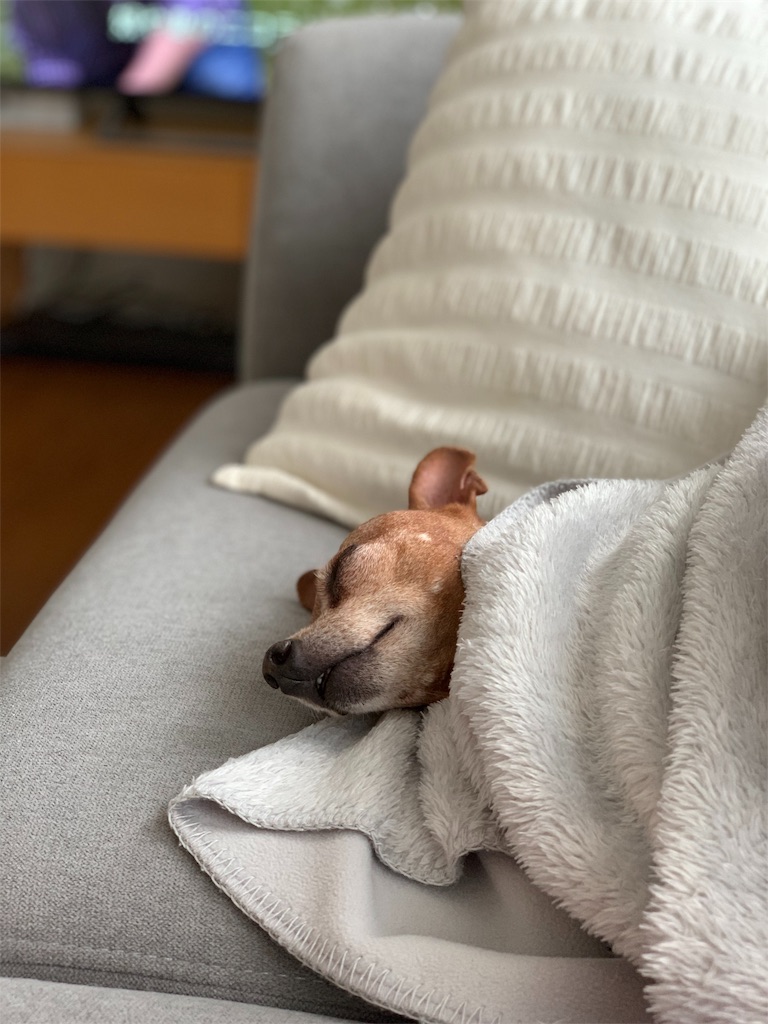 f:id:Keisen-Institute:20190523110809j:image