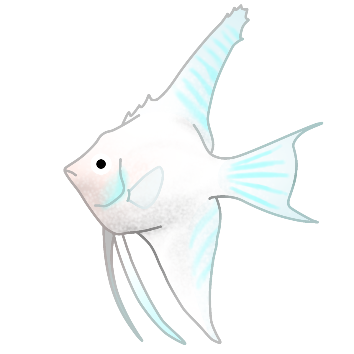熱帯魚 エンゼルフィッシュ イラスト