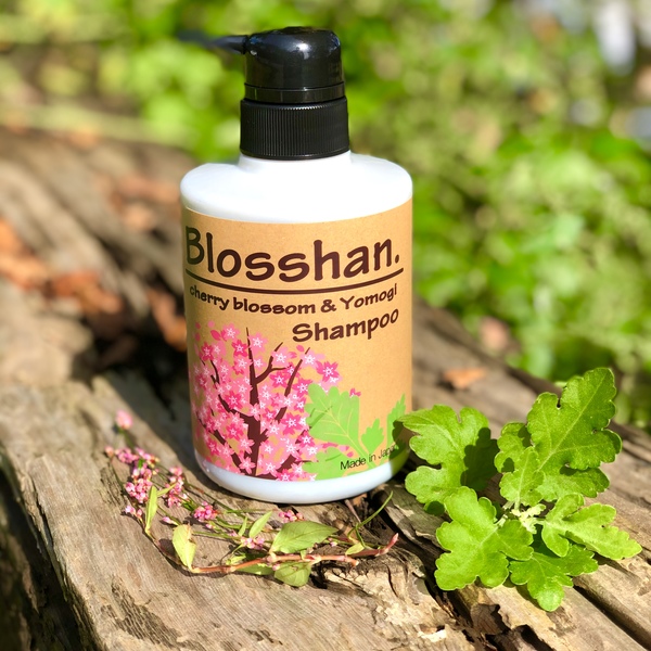 f:id:Kenbitious:20191126153912j:plain f:id:Kenbitious:20191126153912j:plain