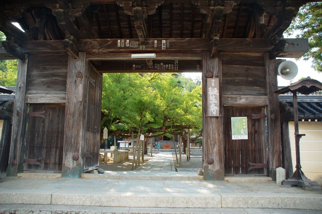 誕生寺