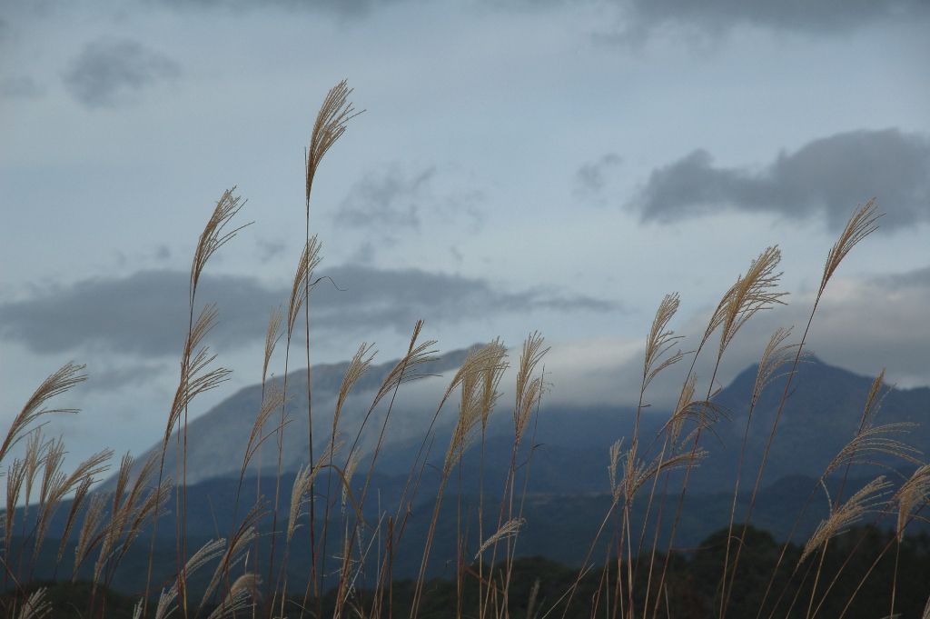 蒜山ＳＡからの眺望
