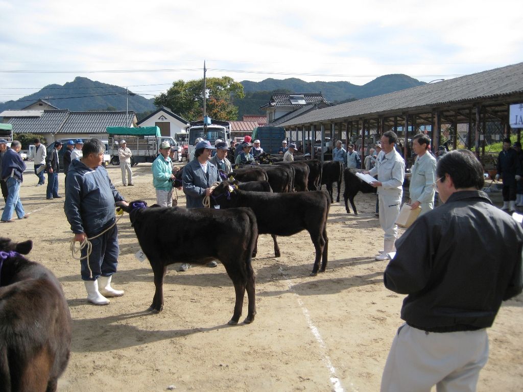 子牛共進会