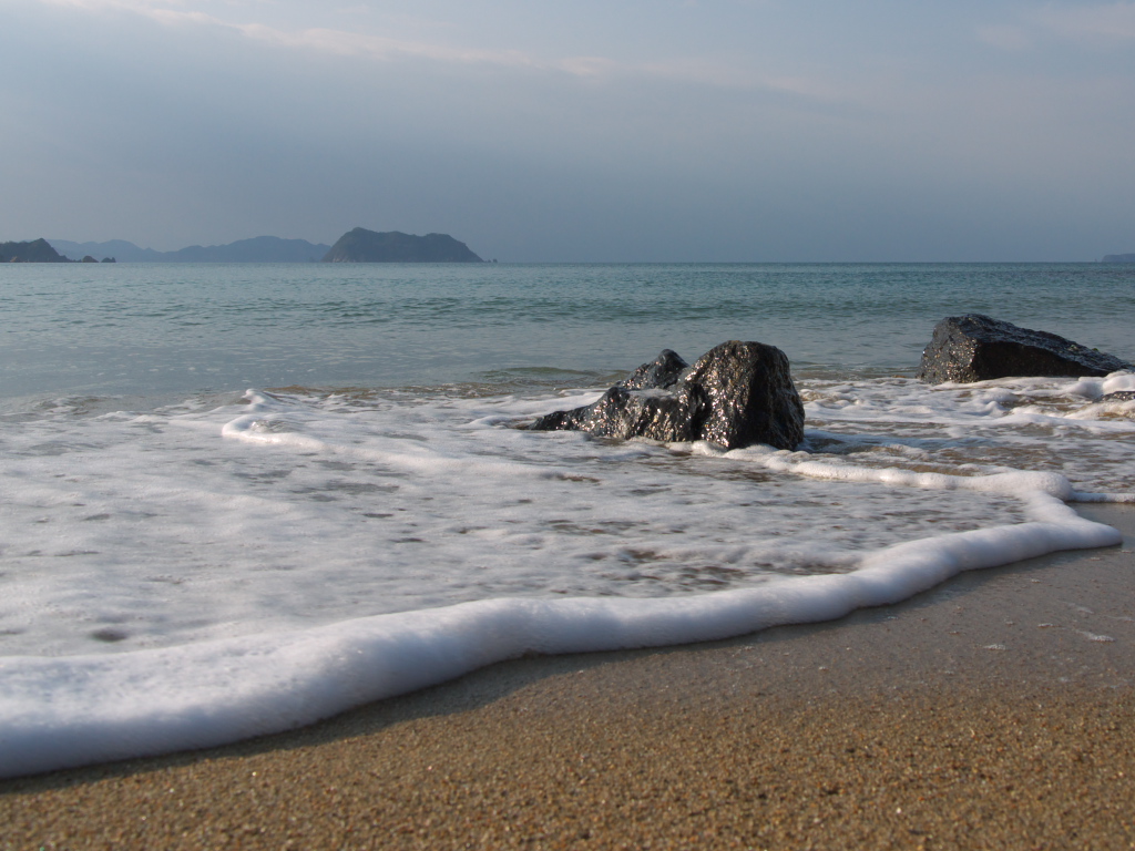 萩の海