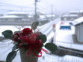 自宅からの雪景色