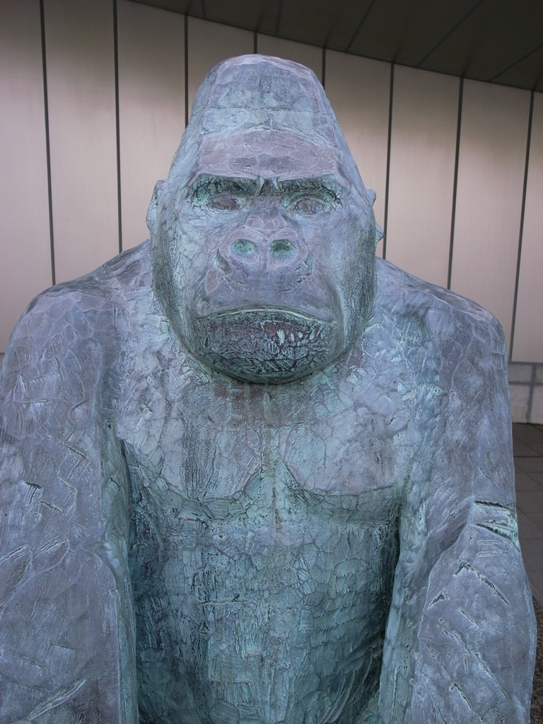 島根県立美術館