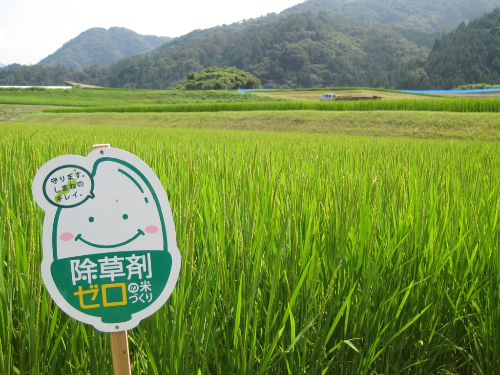 除草剤ゼロ米