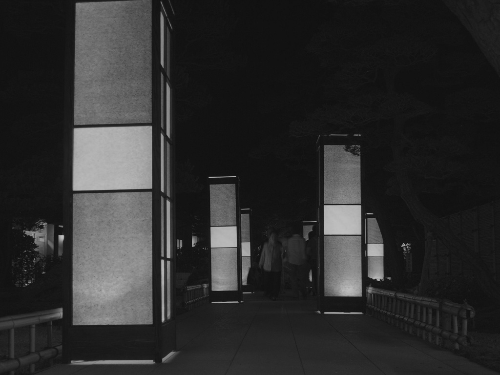 由志園　ライトアップ