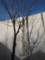 Kimachi_Stone