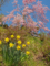 山陽花の寺　玉泉寺