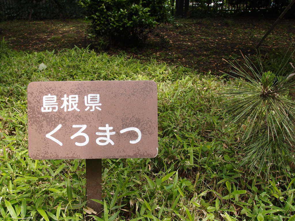 日比谷公園