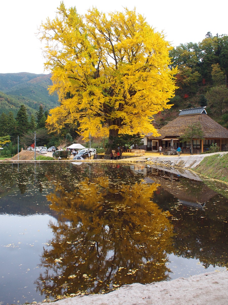 金言寺