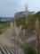 田和山遺跡