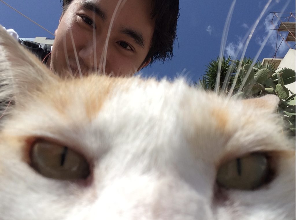 f:id:KenjiCat:20170512165758p:plain f:id:KenjiCat:20170512165758p:plain
