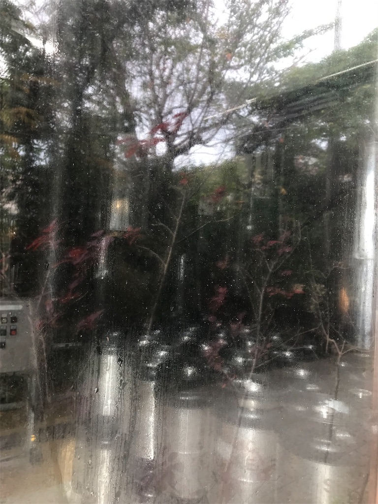 f:id:Kenkou70:20181217222917j:image