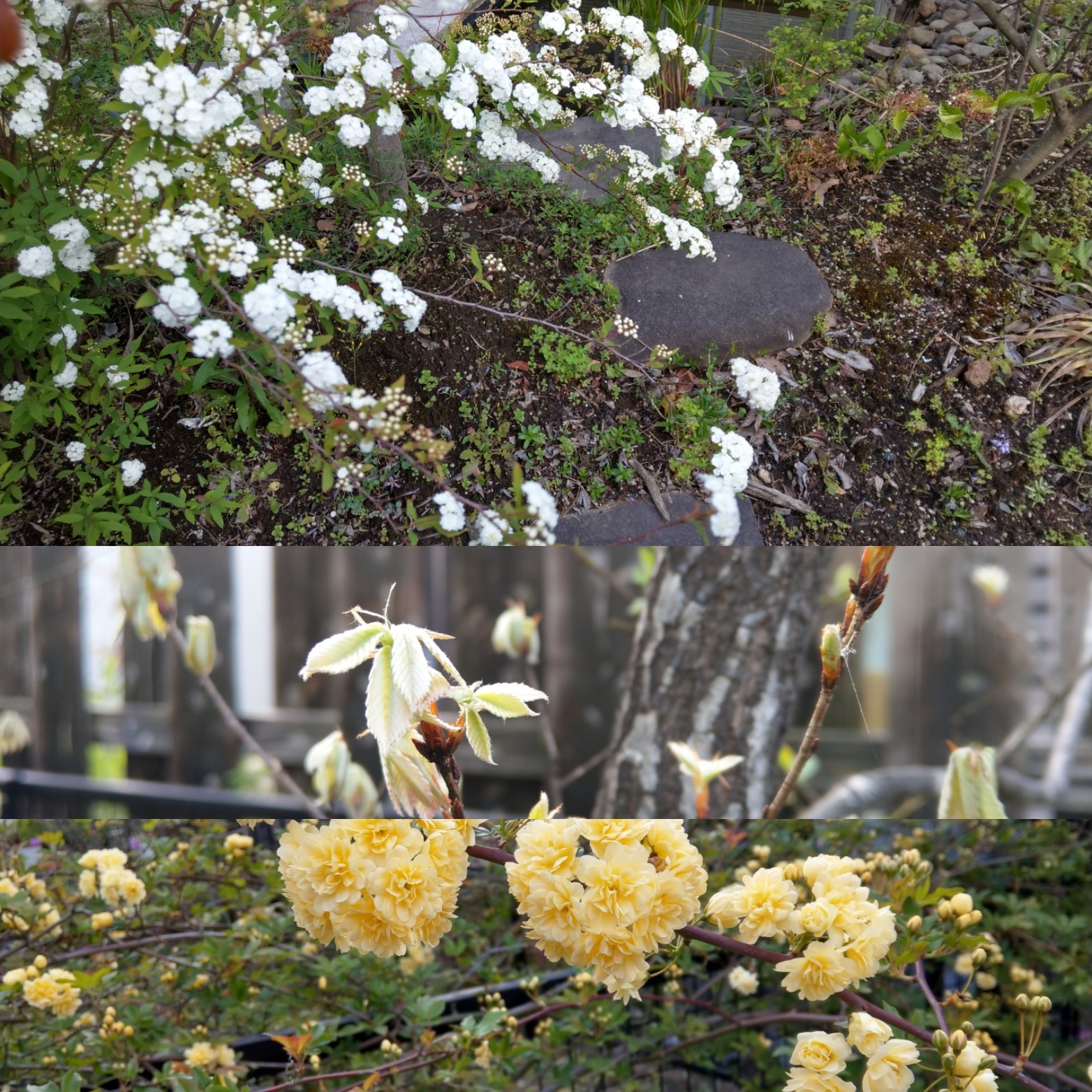 f:id:Kennotori:20190413223029j:image f:id:Kennotori:20190413223029j:image