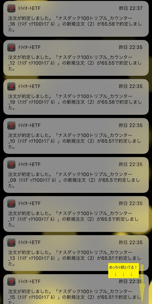 トライオートetf ナスダック100 トリプルカウンター がいきなり驚かせてくれるの巻 19 07 01 結果で示す Fx自動売買