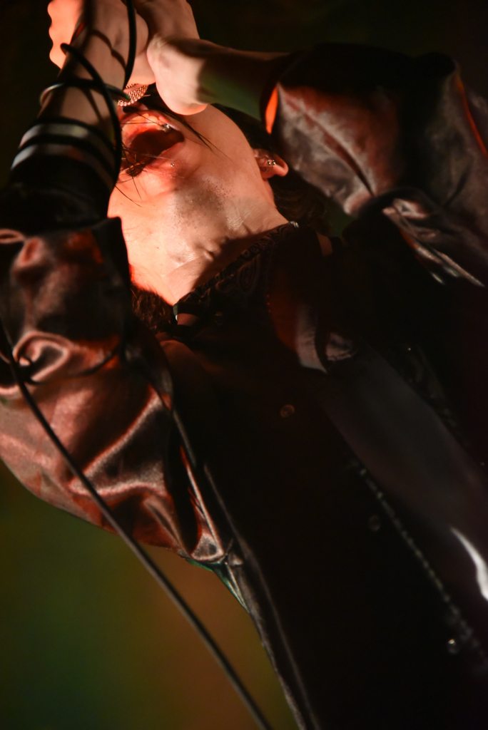 シャウトの種類、特徴、出し方 ReptileボーカルKentaぶろぐ