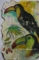 絵日記、１