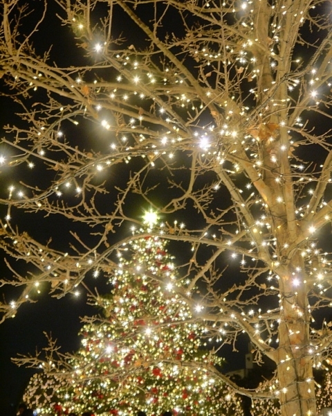 20171222185607