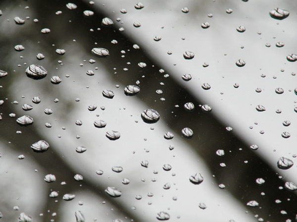 都内の初雪が雨に。。。