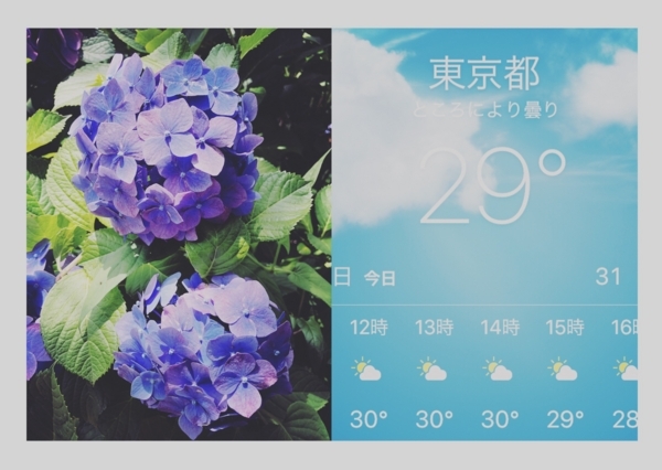 グングンと上がってくる、今日の気温！