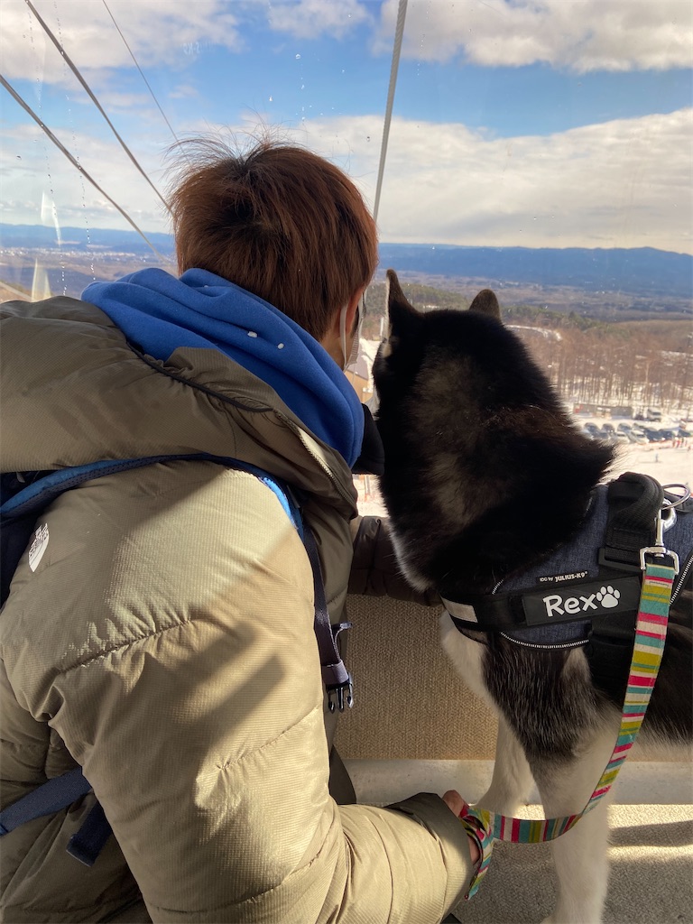 f:id:Keyan_husky:20210524232957j:image f:id:Keyan_husky:20210524232957j:image