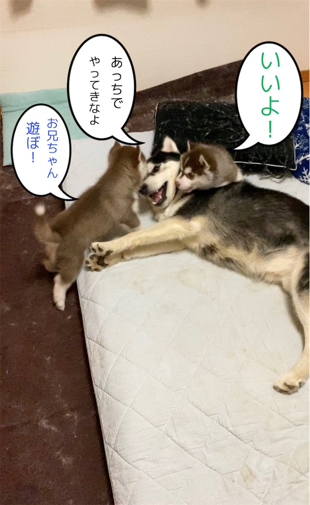 母性とは 一般の人気・最新記事を集めました - はてな