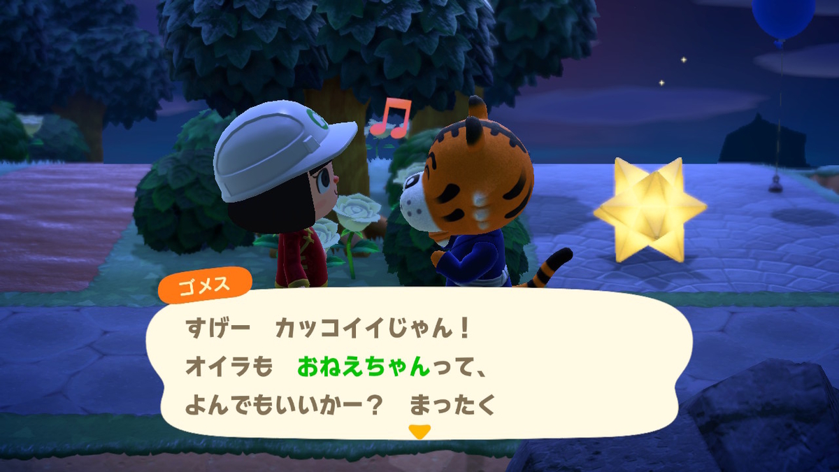 おねぇちゃんというあだ名広まる ゆきねこのあつ森生活