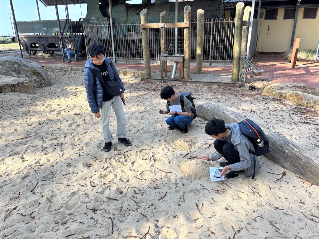 f:id:Kgi-Ohtani:20250806162150j:image