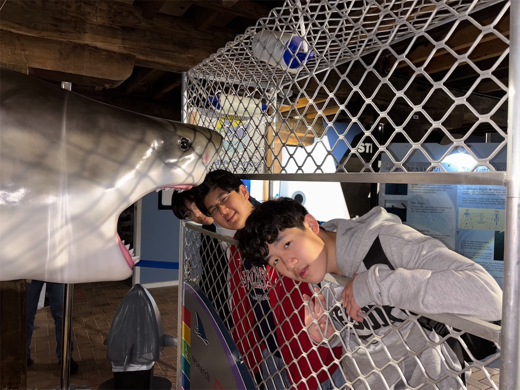 f:id:Kgi-Ohtani:20260810164315j:image f:id:Kgi-Ohtani:20260810164315j:image