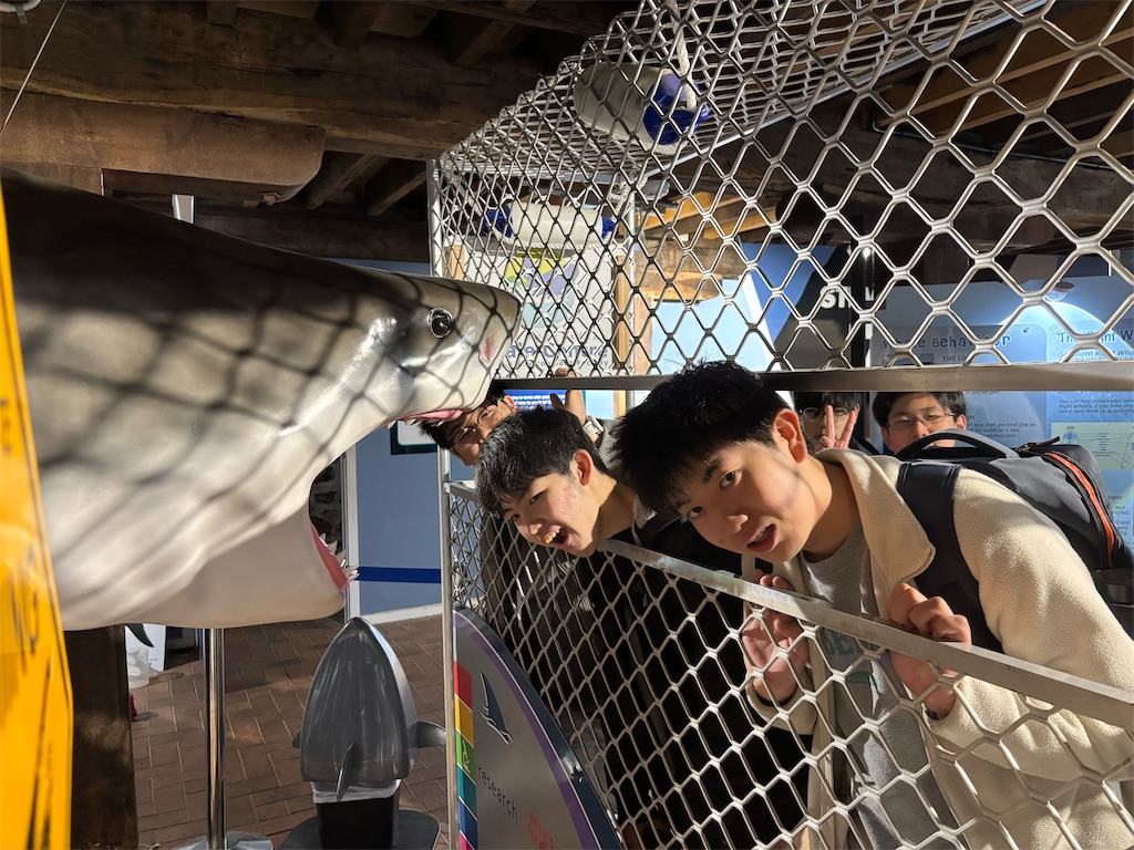 f:id:Kgi-Ohtani:20260810164319j:image f:id:Kgi-Ohtani:20260810164319j:image