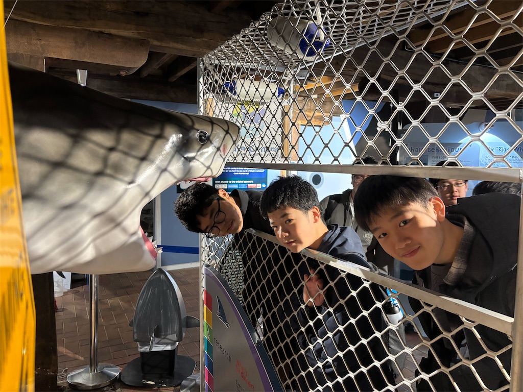 f:id:Kgi-Ohtani:20260810164324j:image f:id:Kgi-Ohtani:20260810164324j:image