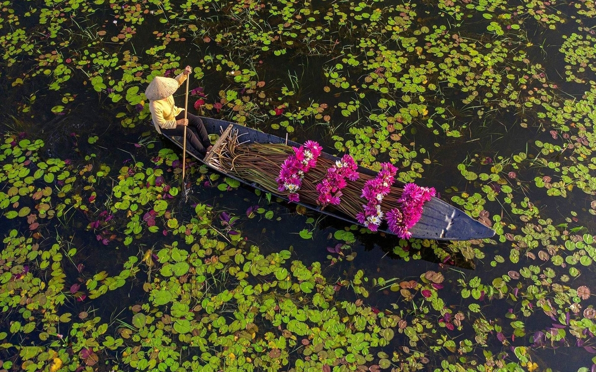 f:id:Khanhpv:20201104183945j:plain f:id:Khanhpv:20201104183945j:plain