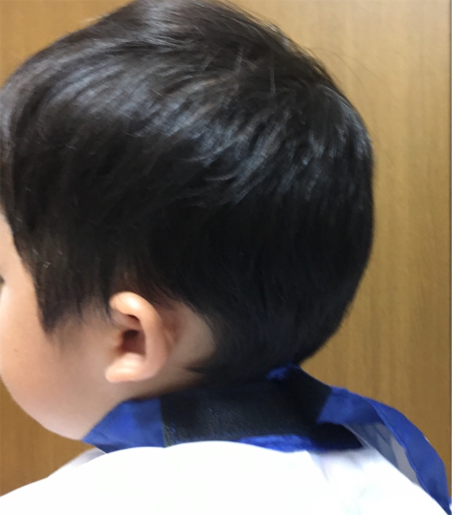 2千円バリカンでツーブロック 自宅カットで年100円の削減 吉日通信
