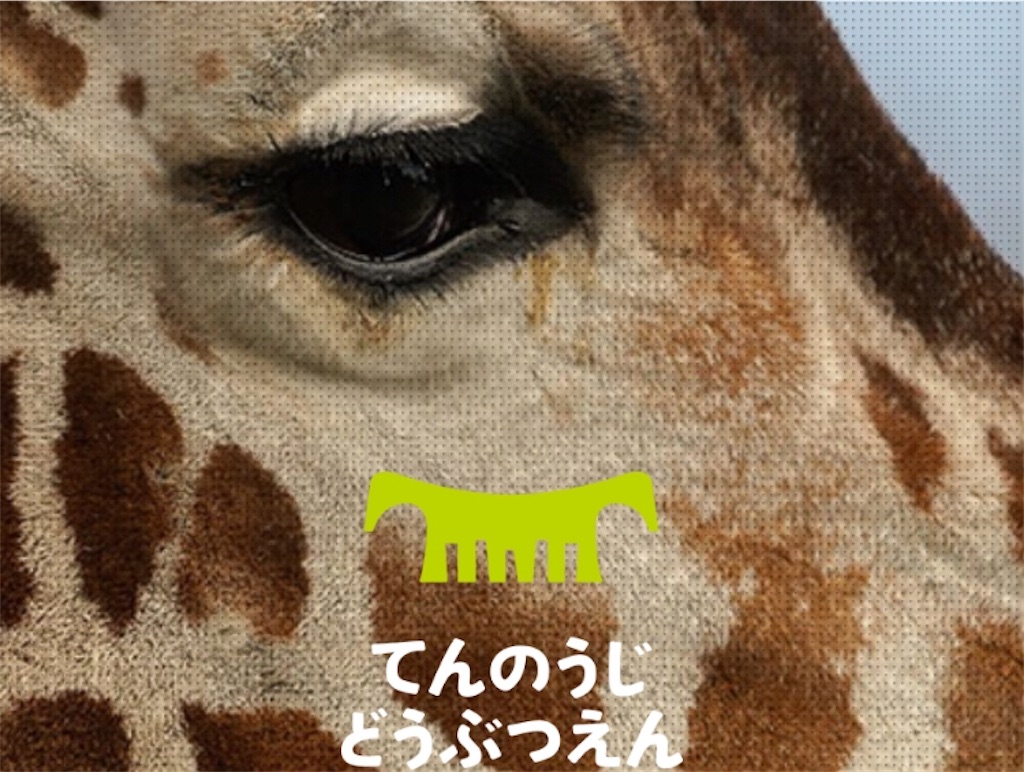 天王寺動物園がコロナ対策実施中 ゼロ密で超穴場スポット 吉日通信