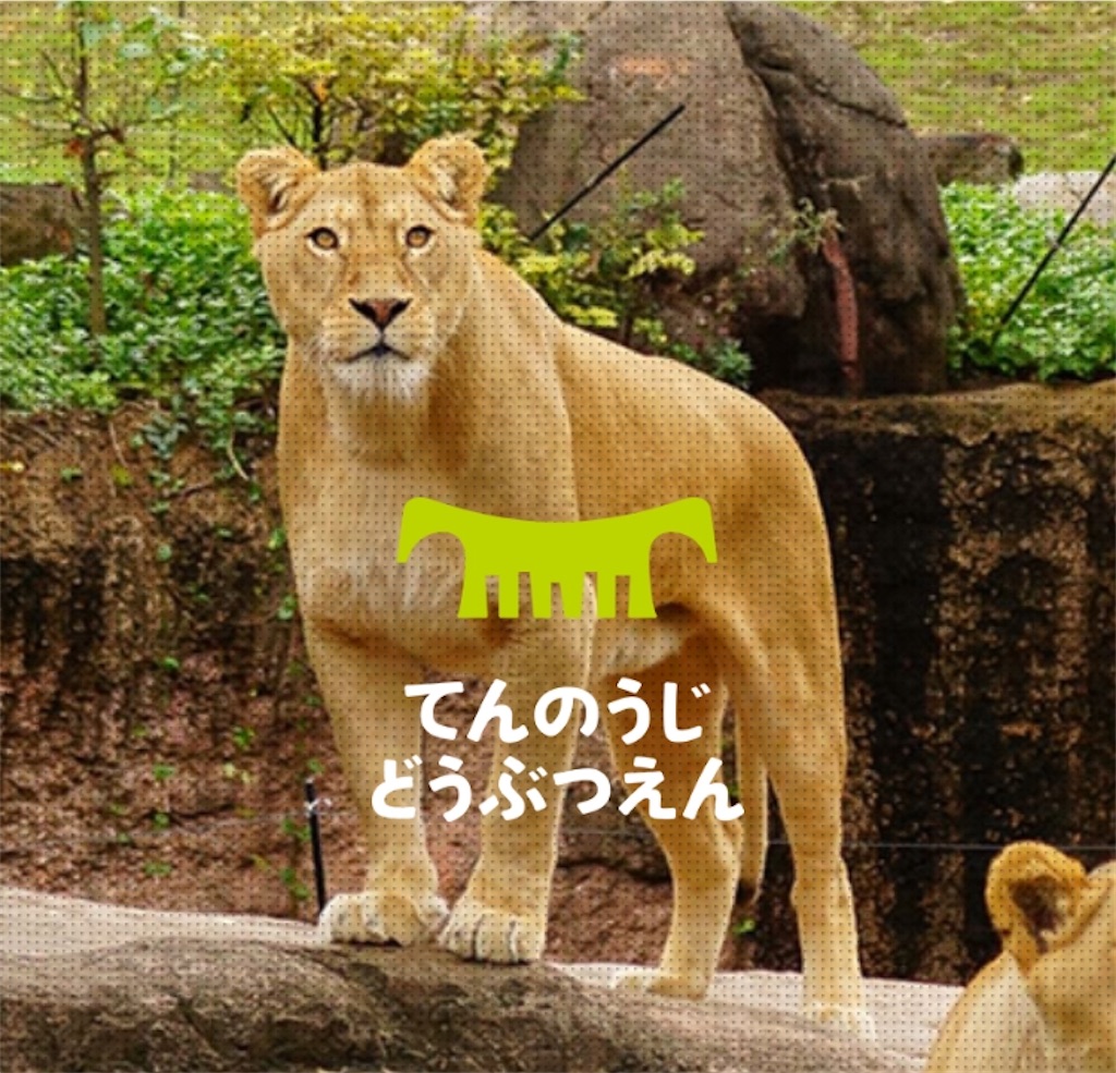 天王寺動物園も９月から休日事前予約開始 年間パスなら予約不要 吉日通信
