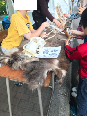 f:id:Kichikichi02:20190825010120p:plain f:id:Kichikichi02:20190825010120p:plain