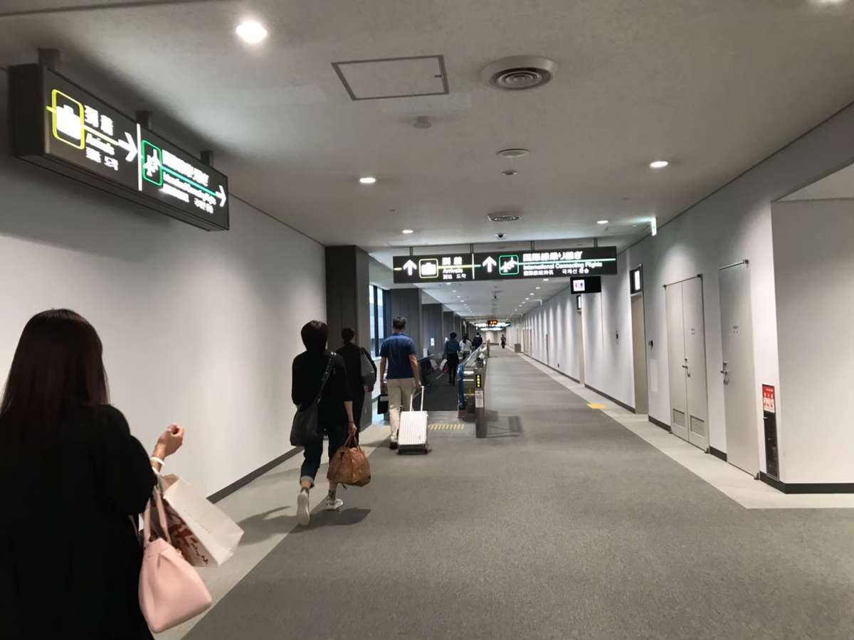 f:id:Kichikichi02:20191120175301j:plain f:id:Kichikichi02:20191120175301j:plain