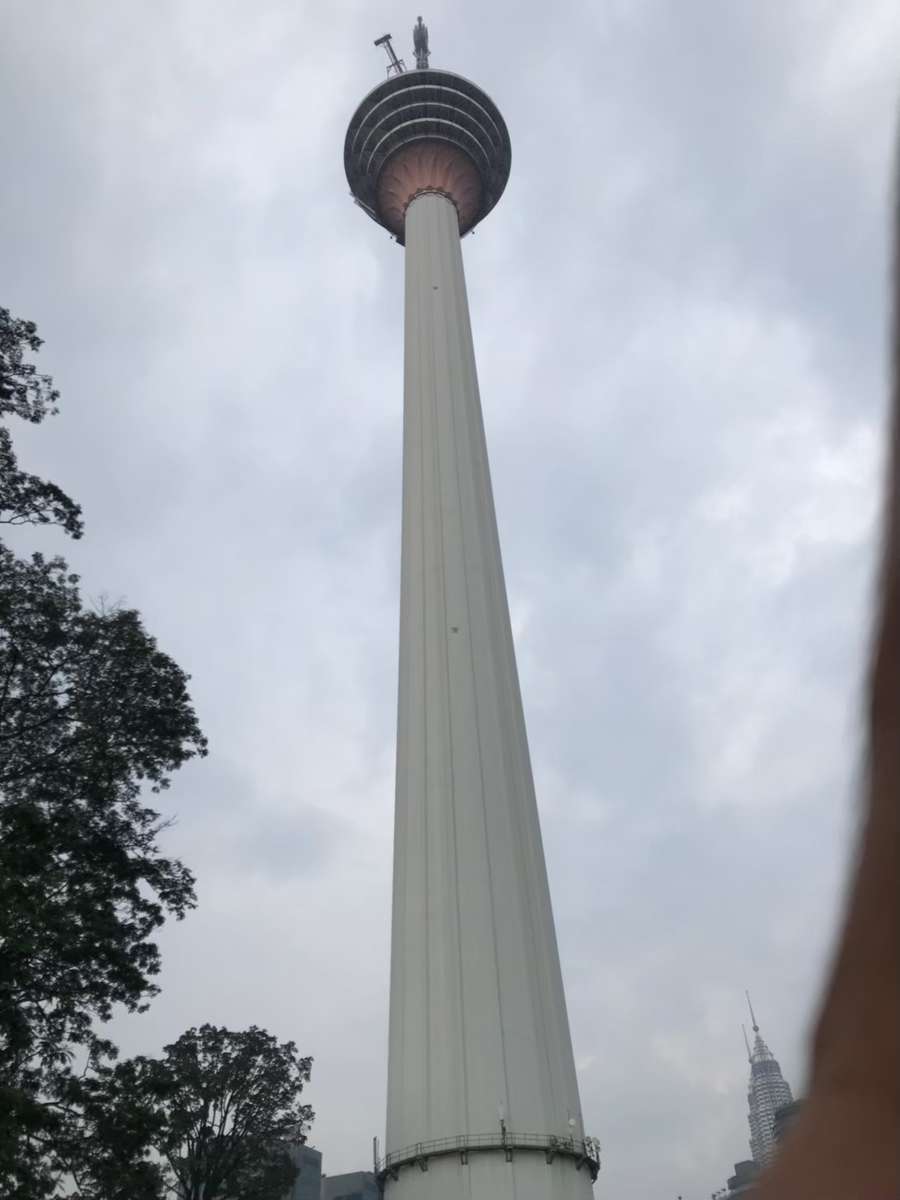 f:id:Kichikichi02:20191120214452j:plain f:id:Kichikichi02:20191120214452j:plain