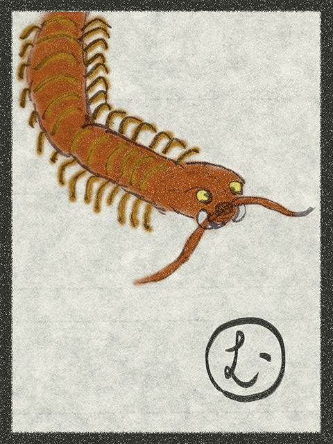 f:id:KihiminHamame:20180306111942j:plain f:id:KihiminHamame:20180306111942j:plain