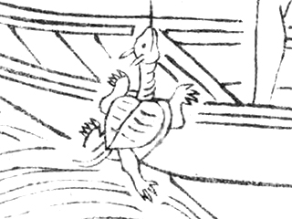 f:id:KihiminHamame:20180606192837j:plain f:id:KihiminHamame:20180606192837j:plain