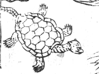 f:id:KihiminHamame:20180606192948j:plain f:id:KihiminHamame:20180606192948j:plain