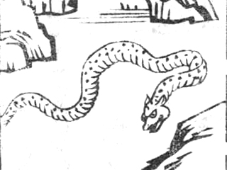 f:id:KihiminHamame:20180606193537j:plain f:id:KihiminHamame:20180606193537j:plain