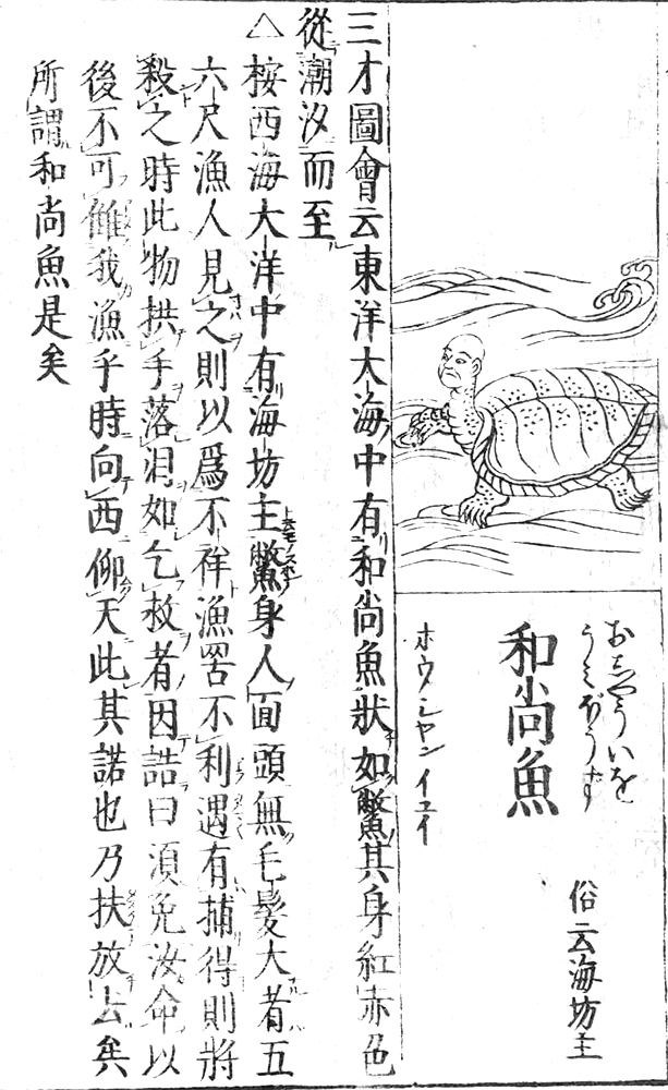 f:id:KihiminHamame:20180617011138j:plain