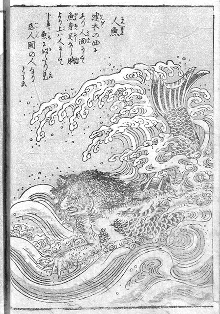 f:id:KihiminHamame:20180621005220j:plain