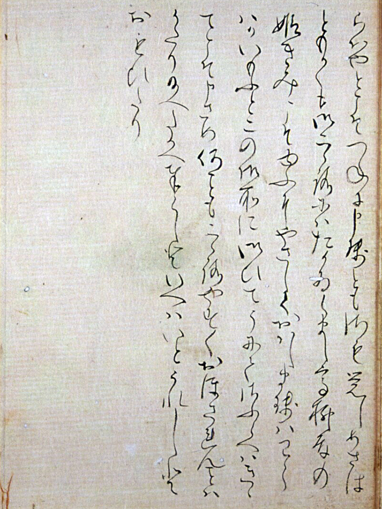 f:id:KihiminHamame:20190130015422j:plain