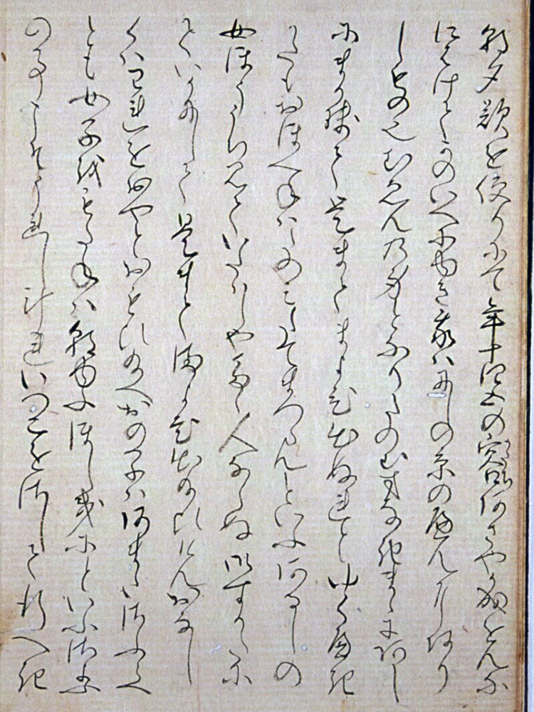 f:id:KihiminHamame:20190130022925j:plain