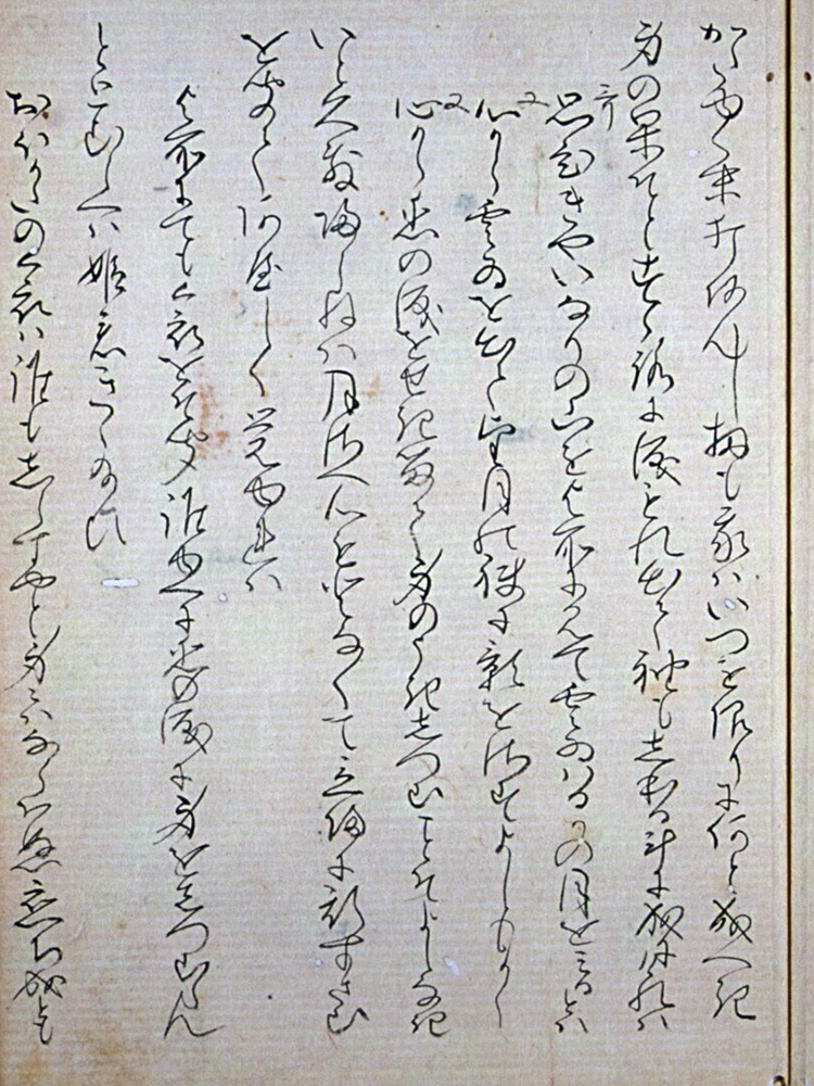 f:id:KihiminHamame:20190211204954j:plain