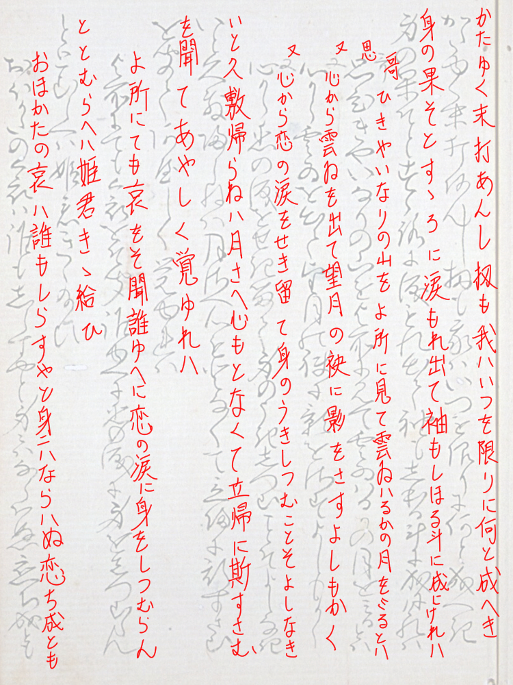 f:id:KihiminHamame:20190212182724j:plain