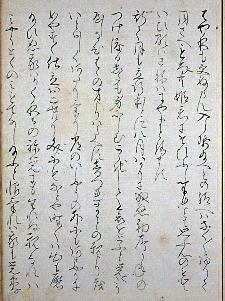 f:id:KihiminHamame:20190215235521j:plain